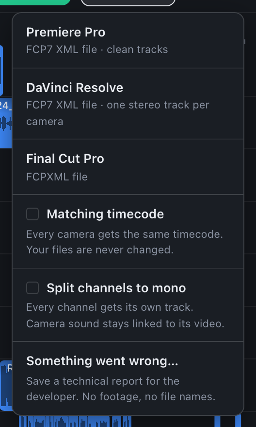 Il menu Export: Premiere Pro, DaVinci Resolve, Final Cut Pro, Matching timecode, Split channels to mono, Something went wrong